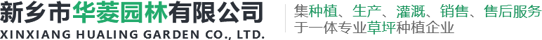 新鄉市天龍振動設備有限公司